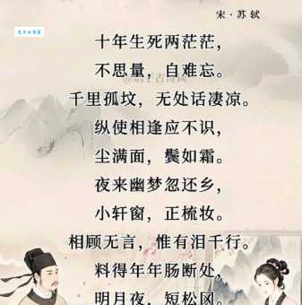 十年生死两茫茫，不思量，自难忘。