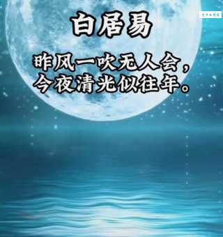 昨风一吹无人会，今夜清光似往年。