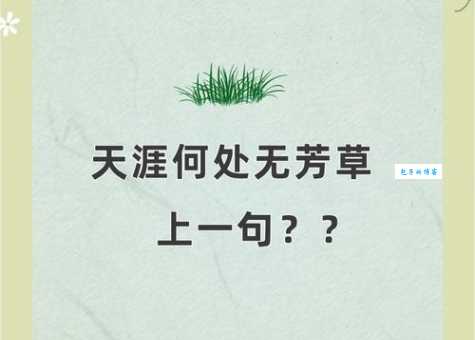 枝上柳绵吹又少。天涯何处无芳草。