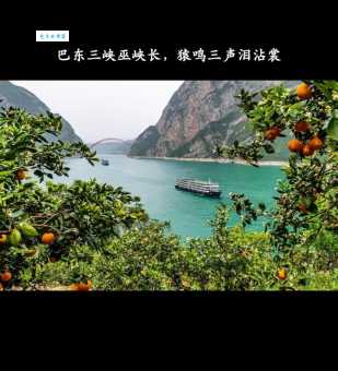 巴东三峡巫峡长，猿鸣三声泪沾裳。