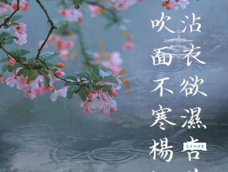 沾衣欲湿杏花雨，吹面不寒杨柳风。