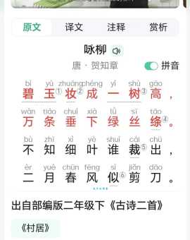 碧玉妆成一树高，万条垂下绿丝绦。