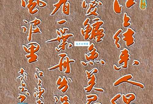 君看一叶舟，出没风波里。