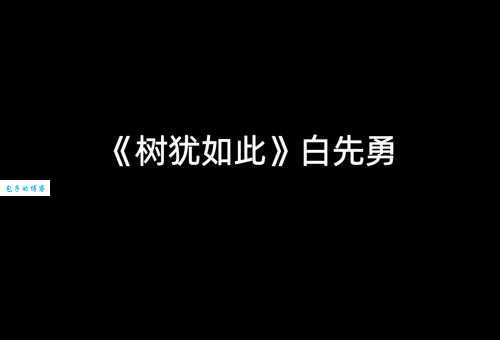 可惜流年，忧愁风雨，树犹如此！