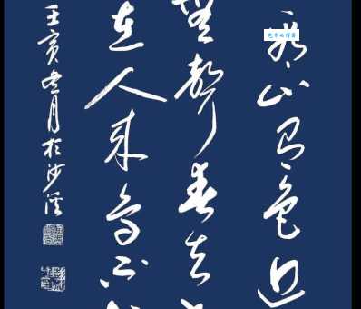 春去花还在，人来鸟不惊。