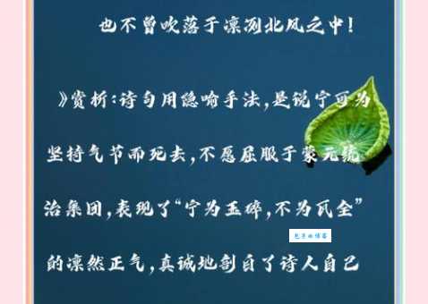 宁可枝头抱香死，何曾吹落北风中。
