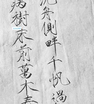 沉舟侧畔千帆过，病树前头万木春。