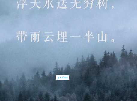 浮天水送无穷树，带雨云埋一半山。