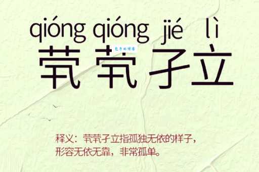 茕茕孑立，形影相吊。