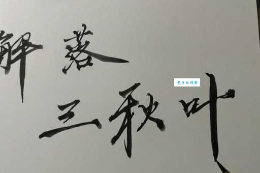 解落三秋叶，能开二月花。