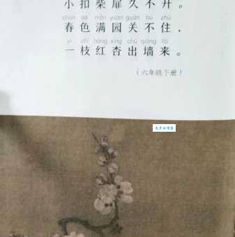 应怜屐齿印苍苔，小扣柴扉久不开。