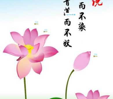 出淤泥而不染，濯清涟而不妖