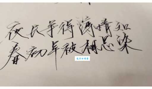 夜长争得薄情知，春初早被相思染。