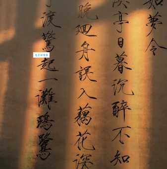 常记溪亭日暮，沉醉不知归路。