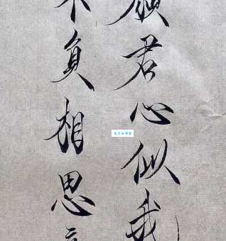 只愿君心似我心，定不负相思意。