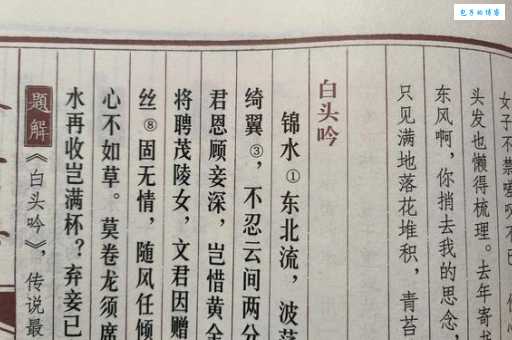白头搔更短，浑欲不胜簪。