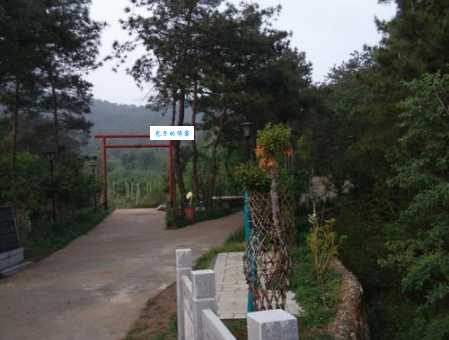 书院二小松