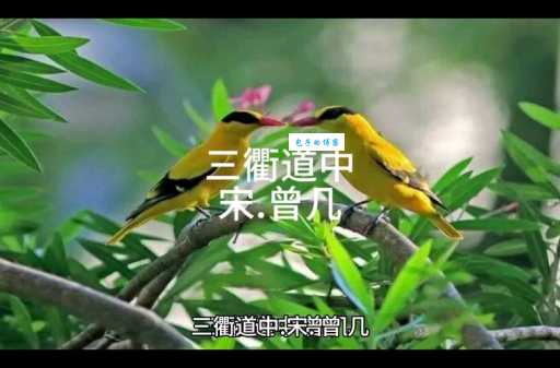 绿阴不减来时路，添得黄鹂四五声。