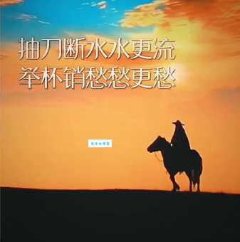 抽刀断水水更流，举杯消愁愁更愁。