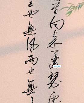 回首向来萧瑟处，归去，也无风雨也无晴。