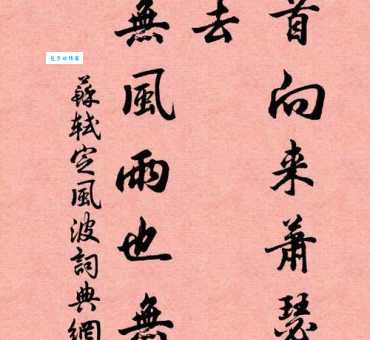 回首向来萧瑟处，归去，也无风雨也无晴。