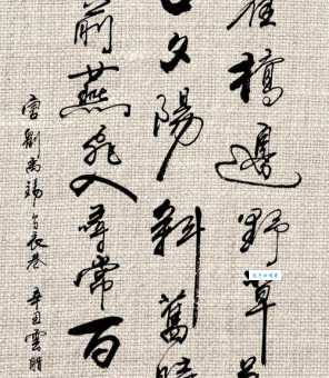 朱雀桥边野草花，乌衣巷口夕阳斜。