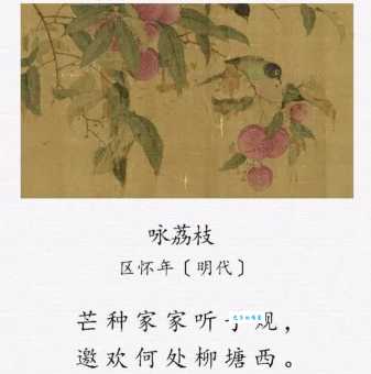 日啖荔枝三百颗，不辞长作岭南人。