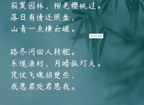 花自飘零水自流。一种相思，两处闲愁。