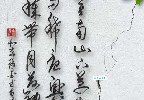 晨兴理荒秽，带月荷锄归。