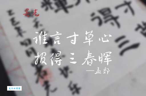 谁言寸草心，报得三春晖。