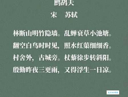 殷勤昨夜三更雨，又得浮生一日凉。