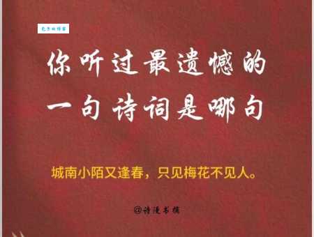 还君明珠双泪垂，恨不相逢未嫁时。
