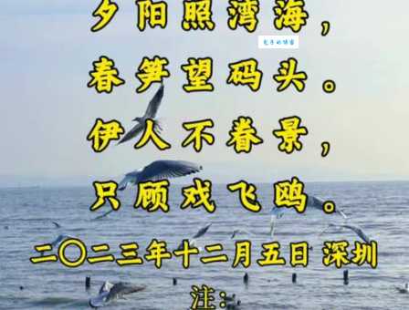 争渡，争渡，惊起一滩鸥鹭。