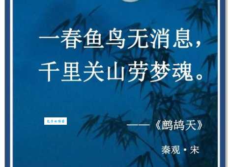 宫女如花满春殿，只今惟有鹧鸪飞。