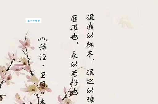 投我以木桃，报之以琼瑶。