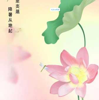 夏夜叹