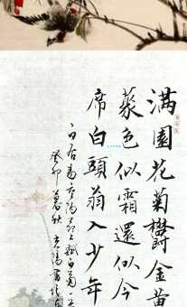 重阳席上赋白菊