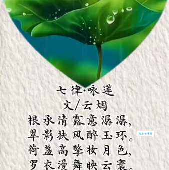 予独爱莲之出淤泥而不染，濯清涟而不妖