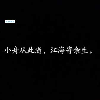 心似已灰之木，身如不系之舟。