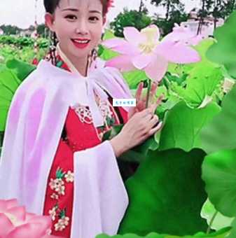 毕竟西湖六月中，风光不与四时同。