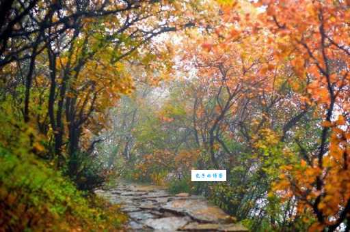 槲叶落山路，枳花明驿墙。