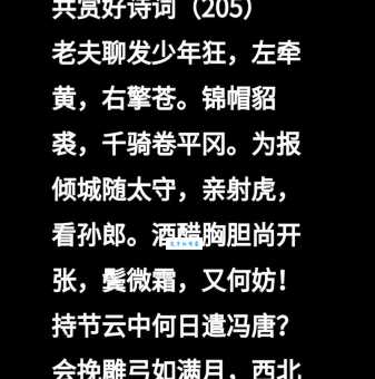 老夫聊发少年狂，左牵黄，右擎苍，锦帽貂裘，千骑卷平冈。