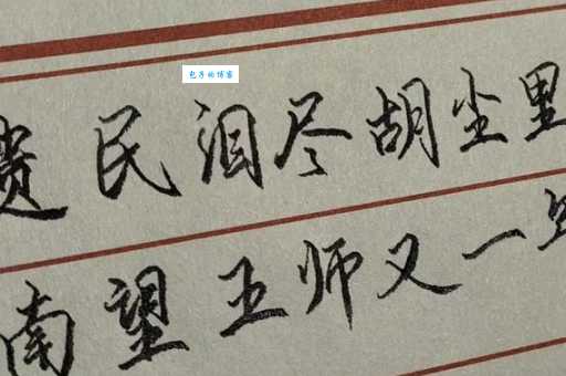 遗民泪尽胡尘里，南望王师又一年。