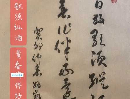 白日放歌须纵酒，青春作伴好还乡。