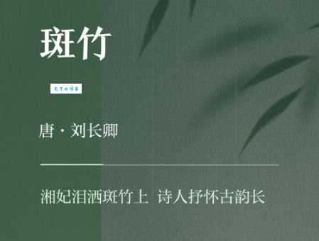 斑竹枝，斑竹枝，泪痕点点寄相思。