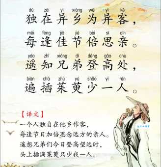 遥知兄弟登高处，遍插茱萸少一人。