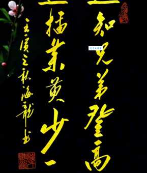 遥知兄弟登高处，遍插茱萸少一人。