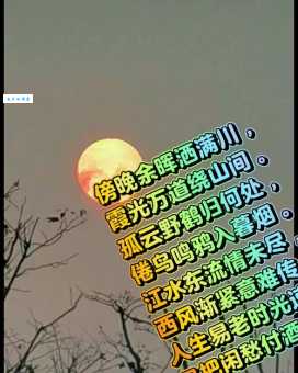 落日无人松径里，鬼火高低明灭。