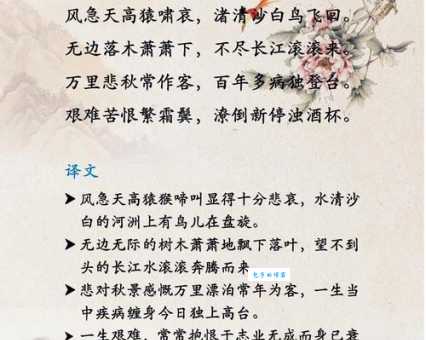 艰难苦恨繁霜鬓，潦倒新停浊酒杯。