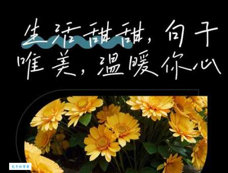 对生活温馨简短的句子